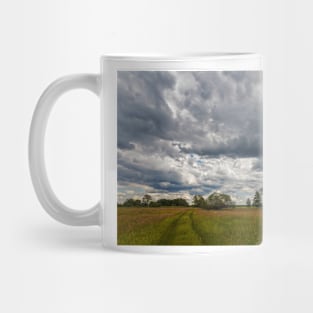 Stormy cloudscape over meadow Mug